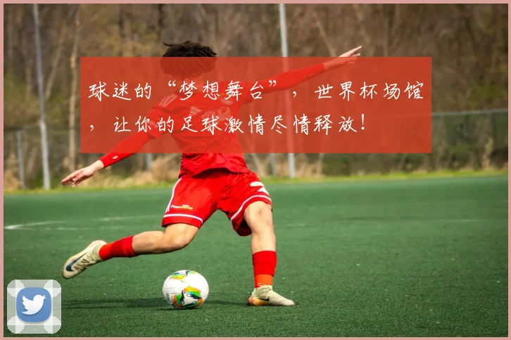 球迷的“梦想舞台”，世界杯场馆，让你的足球激情尽情释放！