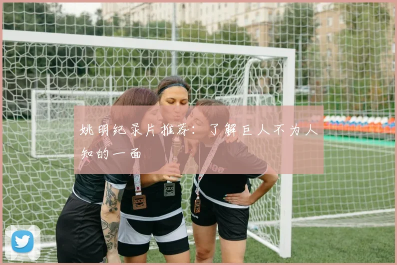 姚明纪录片推荐：了解巨人不为人知的一面